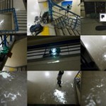 http://_dmarc.www.lightizm.com/files/gimgs/th-76_71_Nostalgia4_v2.jpg